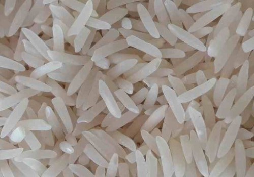 قیمت خرید برنج فجر سوزنی شمال + فروش ویژه